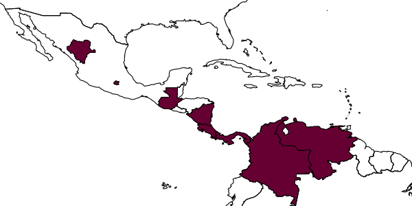 map of Xyalaspis hirsuta     Mata-Casanova, Selfa & Pujade-Villar, 2014